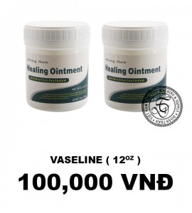 Vaselin Healing